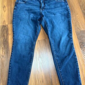 Time and Tru Deep Blue Skinny Jeans